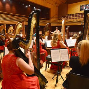 Photo of the National Youth Harp Orchestra playing at Menhuin Hall, March 2019