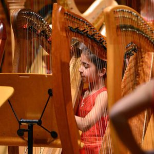 NYHO--Young-harp-player-in-concert2
